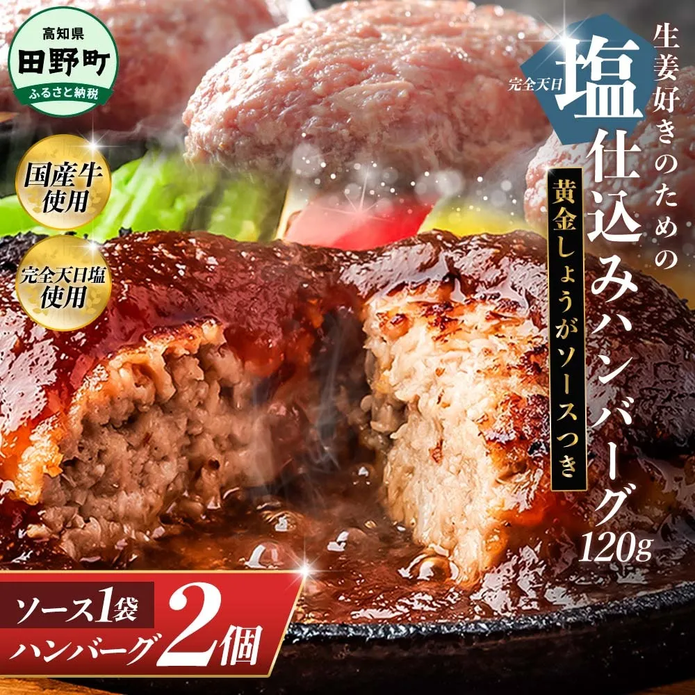 塩仕込みハンバーグ 2個入り 黄金しょうがソース付 1袋 美鮮豚 びせんとん 生姜 田野屋青蜂 白鯆 完全天日塩 肉 お肉 国産牛 四万十ポーク おかず 惣菜 ジューシー おいしい 洋食 お取り寄せ 冷凍 配送 高知県 田野町