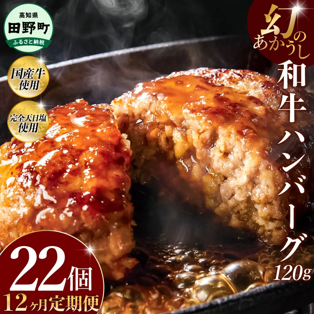 幻のあかうし和牛ハンバーグ 22個入り 12ヶ月定期便 1個120g 田野屋青蜂 白鯆 完全天日塩練り込み 肉 お肉 国産牛 土佐あかうし 四万十ポーク おかず 惣菜 おいしい お取り寄せ 冷凍 配送 高知県 田野町