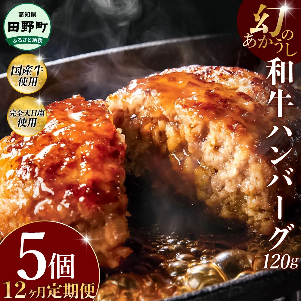 幻のあかうし和牛ハンバーグ 5個入り 12ヶ月定期便 1個120g 田野屋青蜂 白鯆 完全天日塩練り込み 肉 お肉 国産牛 土佐あかうし 四万十ポーク おかず 惣菜 おいしい お取り寄せ 冷凍 配送 高知県 田野町
