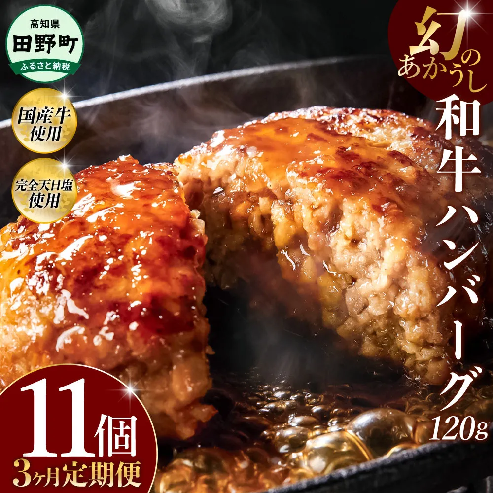 幻のあかうし和牛ハンバーグ 11個入り 3ヶ月定期便 1個120g 田野屋青蜂 白鯆 完全天日塩練り込み 肉 お肉 国産牛 土佐あかうし 四万十ポーク おかず 惣菜 おいしい お取り寄せ 冷凍 配送 高知県 田野町