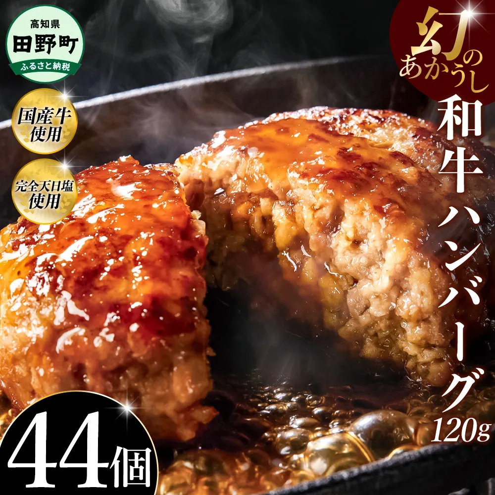 幻のあかうし和牛ハンバーグ 44個入り 1個120g 田野屋青蜂 白鯆 完全天日塩練り込み 肉 お肉 国産牛 土佐あかうし 四万十ポーク おかず 惣菜 おいしい お取り寄せ 冷凍 配送 高知県 田野町