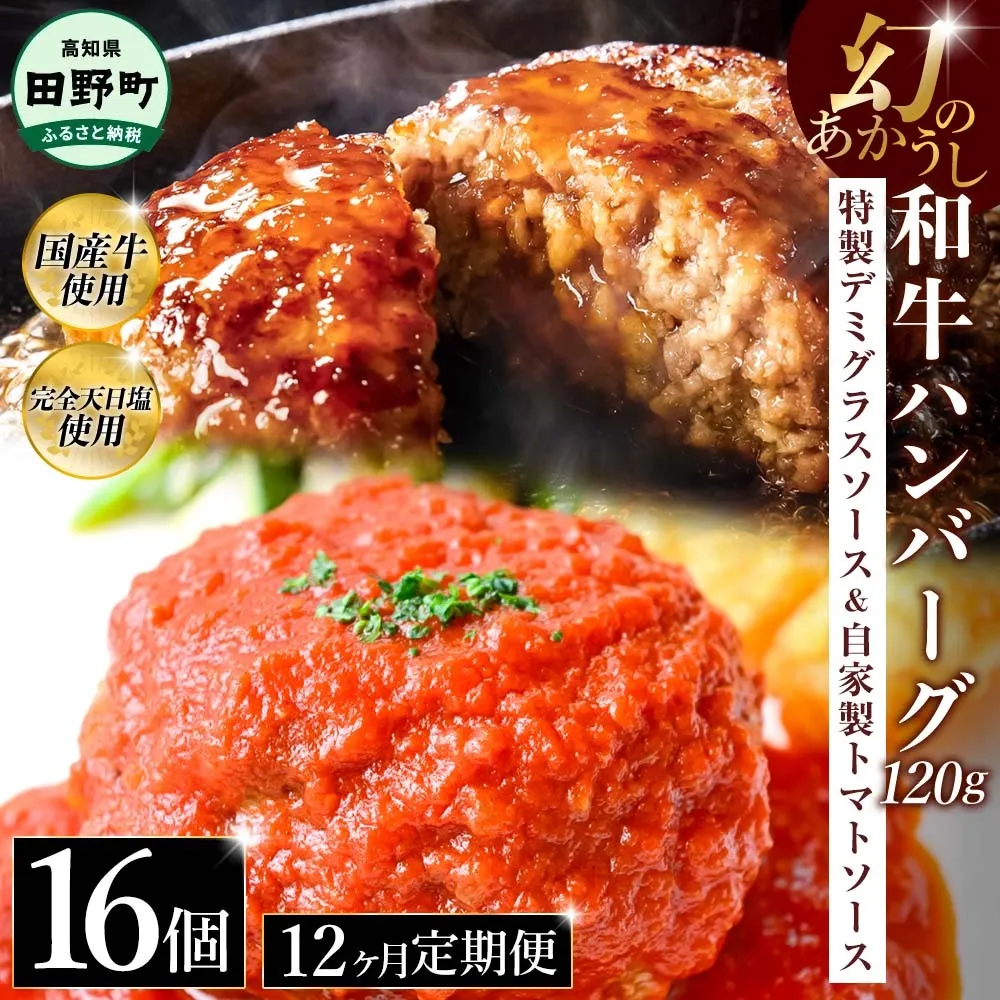 幻のあかうし和牛ハンバーグ 16個入り 12ヶ月定期便 1個120g 特製デミソース トマトソース付き 田野屋青蜂 白鯆 完全天日塩練り込み 肉 お肉 国産牛 おかず おいしい お取り寄せ 冷凍 配送 高知県 田野町