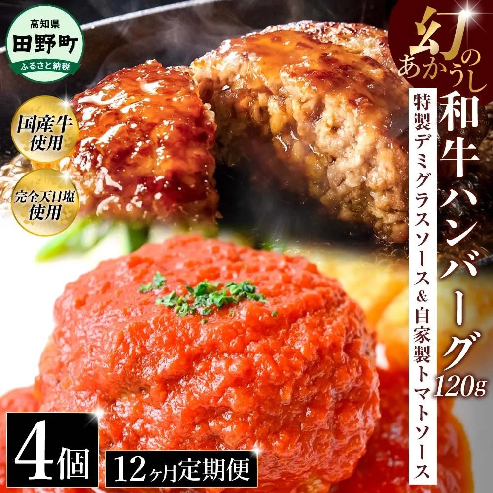 幻のあかうし和牛ハンバーグ 4個入り 12ヶ月定期便 1個120g 特製デミソース トマトソース付き 田野屋青蜂 白鯆 完全天日塩練り込み 肉 お肉 国産牛 おかず おいしい お取り寄せ 冷凍 配送 高知県 田野町