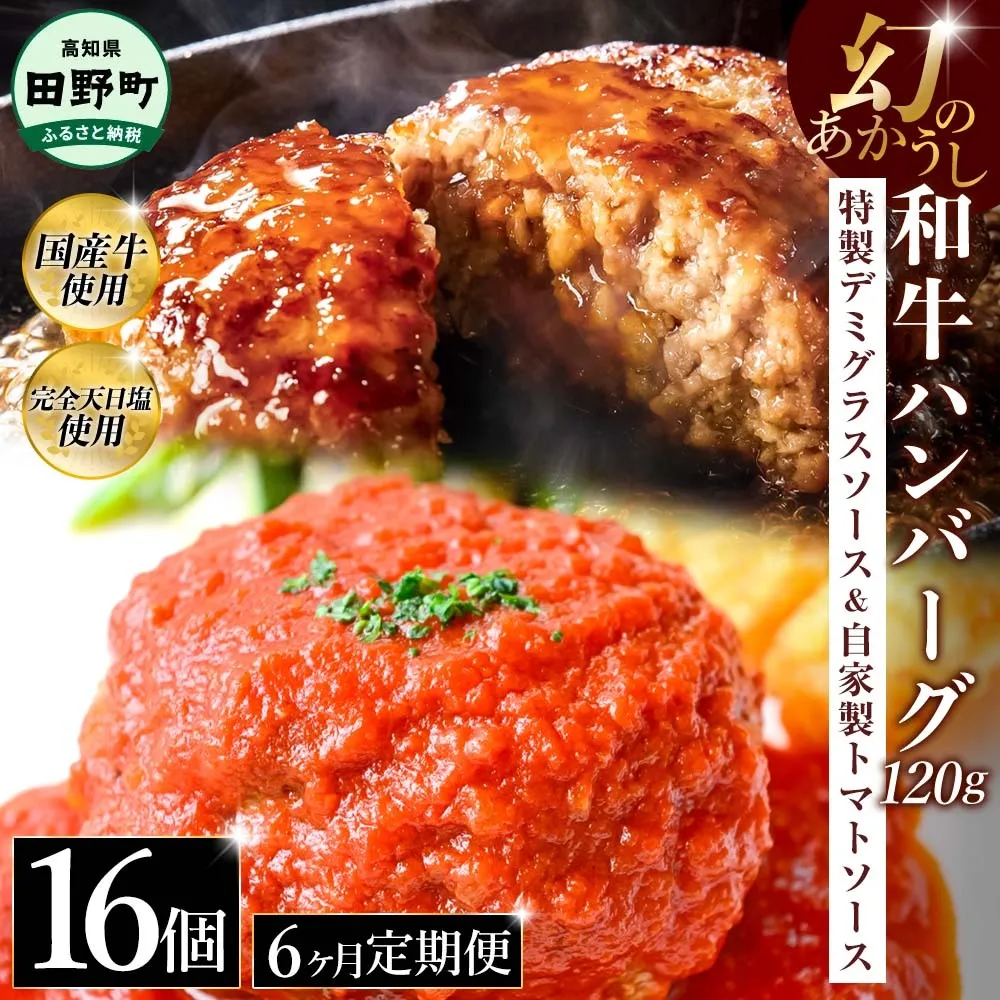 幻のあかうし和牛ハンバーグ 16個入り 6ヶ月定期便 1個120g 特製デミソース トマトソース付き 田野屋青蜂 白鯆 完全天日塩練り込み 肉 お肉 国産牛 おかず おいしい お取り寄せ 冷凍 配送 高知県 田野町