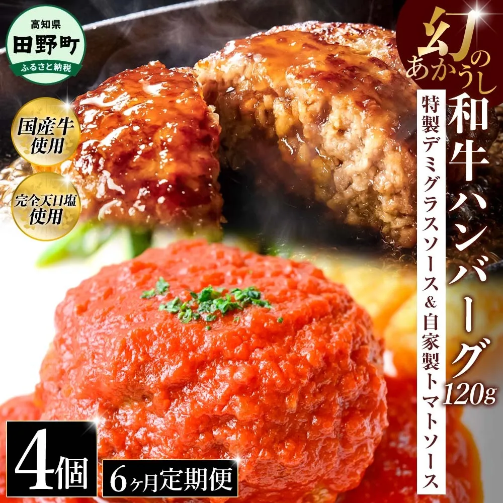 幻のあかうし和牛ハンバーグ 4個入り 6ヶ月定期便 1個120g 特製デミソース トマトソース付き 田野屋青蜂 白鯆 完全天日塩練り込み 肉 お肉 国産牛 おかず おいしい お取り寄せ 冷凍 配送 高知県 田野町