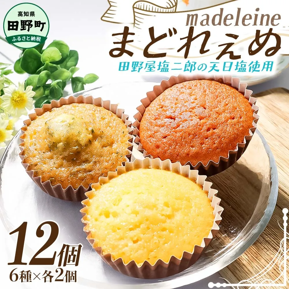 まどれぇぬ マドレーヌ 12個入り(6種×各2個) 田野屋塩二郎の天日塩使用 取り寄せ スイーツ デザート 完全天日塩 おやつ お菓子 洋菓子 焼き菓子 プレゼント 個包装 お取り寄せスイーツ 配送 高知 返礼品