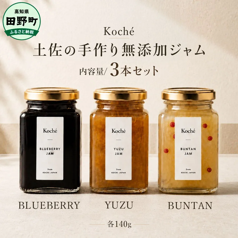 土佐の手作り無添加ジャム 3種セット ブルーベリー ゆず 文旦 各140g 果物 フルーツ 無添加 朝食 食パン トースト ヨーグルト スイーツ トッピング 柚子 ユズ ぶんたん プレゼント 常温配送 高知 田野町