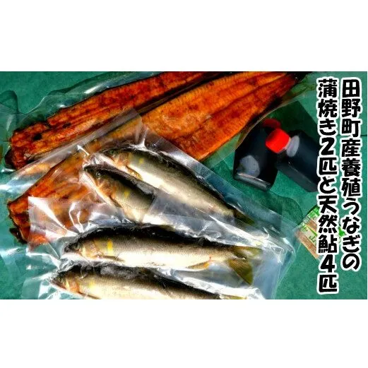 田野町産うなぎの蒲焼き2匹と天然鮎4匹セット　タレ付き 山椒付き うなぎ 鰻 ウナギ 蒲焼き かば焼き 無頭 おいしい 国産 お取り寄せ 冷凍 配送