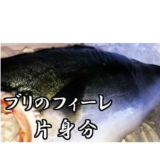 ブリのフィーレ片身分