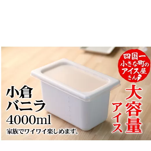 【四国一小さなまちのアイス屋さん】≪松崎冷菓≫大容量アイス 4000ml ★小倉バニラ★ 4l スイーツ デザート おすすめ 美味しい 高知県 田野町 