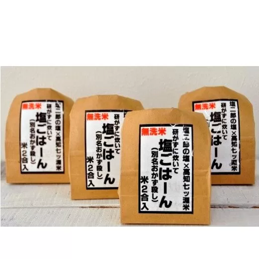 【四国一小さなまち】田野屋塩二郎の塩ごはーん　4袋セット（無洗米）