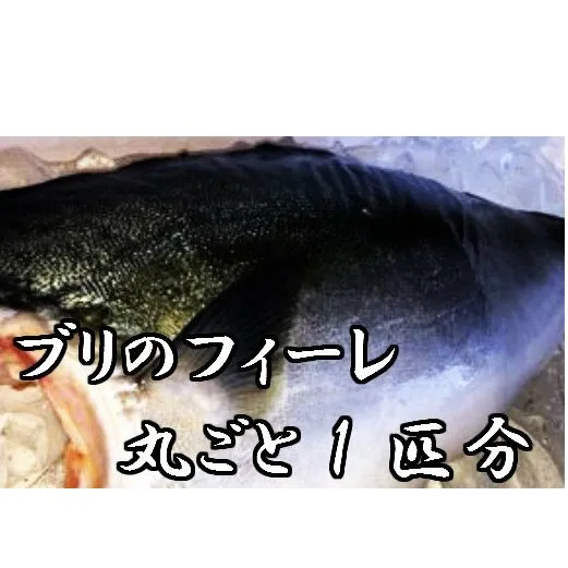 ブリのフィーレ丸ごと1匹分