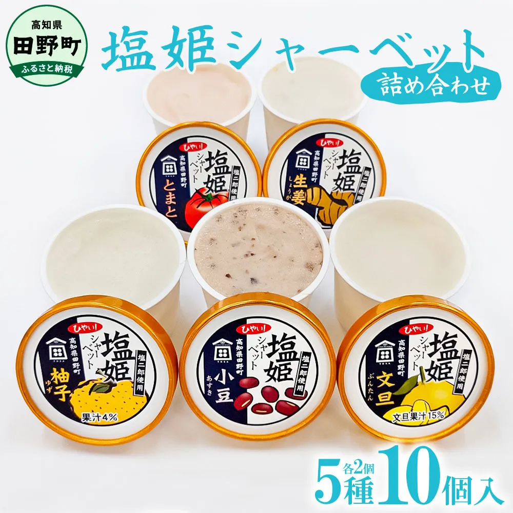 塩姫シャーベット ５種詰め合わせセット 100ml×10個 柚子 文旦 トマト 生姜 小豆 ミネラル 田野屋塩二郎 天日塩 アイス あいす シャーベット 冷凍