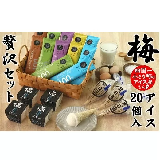 【四国一小さなまち】松崎冷菓の贅沢アイスセット〈梅〉