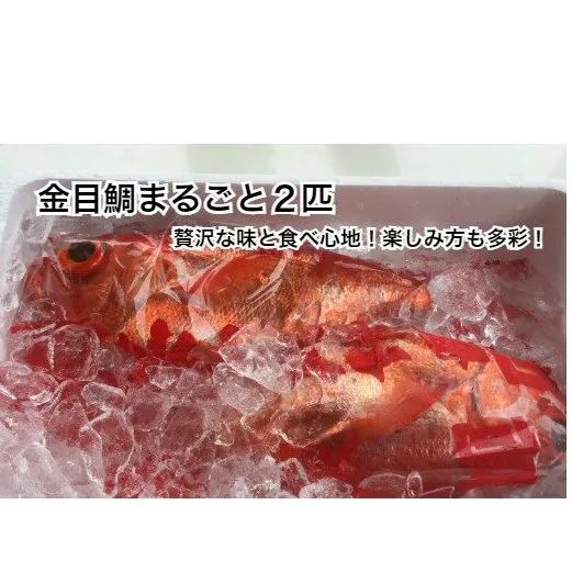【四国一小さなまち】　≪土佐沖獲れ≫　高級魚『金目鯛』まるごと２匹（冷蔵）