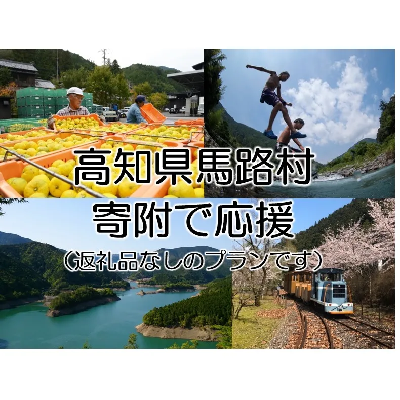 【寄附のみ】 寄附で高知県馬路村を応援（返礼品はございません）
