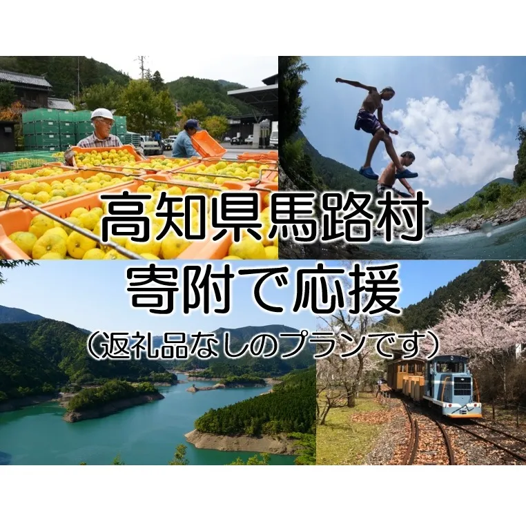 【寄附のみ】 寄附で高知県馬路村を応援（返礼品はございません）