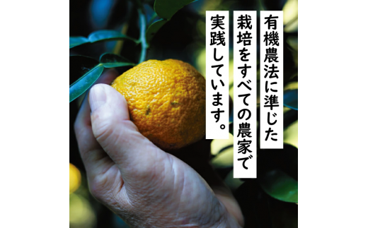 馬路村ポン酢2本組（ゆずの村・1000人の村） ぽん酢 柚子 ポン酢