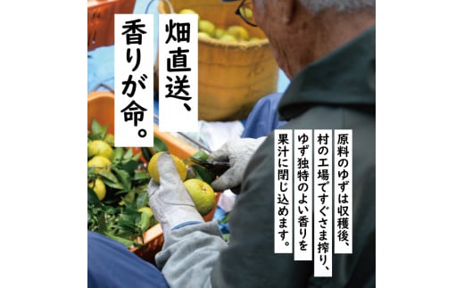 馬路村ポン酢2本組（ゆずの村・1000人の村） ぽん酢 柚子 ポン酢