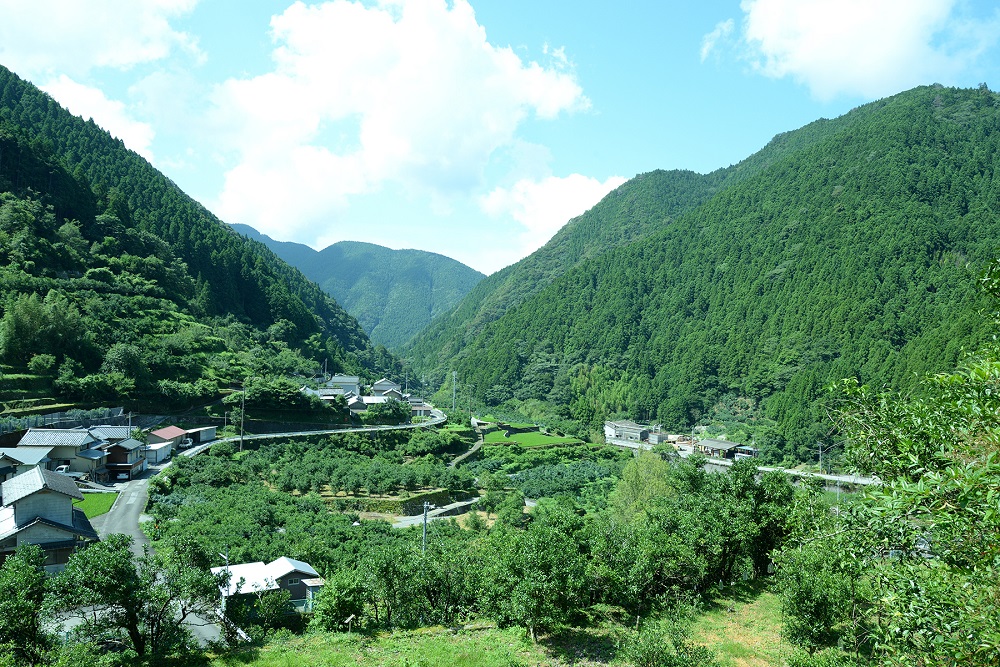 (8) 使途は指定しません