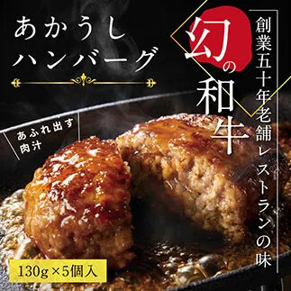 CDM003　 創業50年老舗レストランの幻の和牛あかうしハンバーグ130g×5コ（ソース無し）人気惣菜 数量限定 牛肉 豚肉  故郷納税 10000円 焼くだけ 溢れる肉汁 土佐あか牛 ハンバーグ 小分け 緊急支援品 