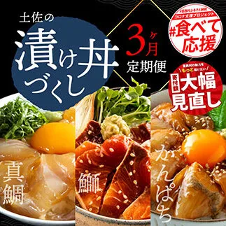 t021kyf 海鮮 芸西村3ヵ月連続定期便 土佐の漬け丼づくし定期便/1回目:真鯛の漬け丼の素、2回目:ブリ漬丼の素、3回目:かんぱち漬丼の素 本場 高知 土佐 海鮮 自慢 返礼品 お楽しみ[高知市共通返礼品]