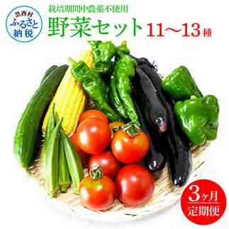 t138slv　野菜セット（11‐13種類）《3カ月定期便》 栽培期間中農薬不使用！ 季節の野菜 定期コース 定期 無農薬 野菜 やさい 新鮮 自然 健康 セット 詰め合わせ 冷蔵 美味しい おいしい 食べ物 食材 秋 旬の味覚 ご当地 お取り寄せ 芸西村 30000円 故郷納税 返礼品