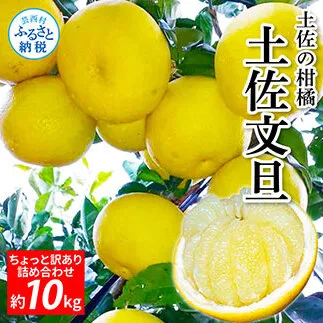 文旦　訳あり　アウトレット品　柑橘　16 楽天市場】【ふるさと納税】 訳あり 土佐文旦 7kg みかん 蜜柑