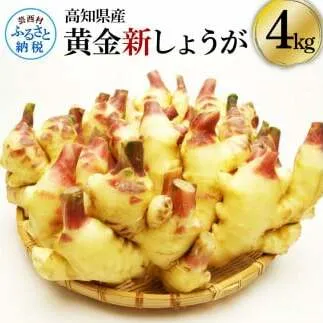 SNS004　高知県産ハウス黄金新しょうが4kg - しょうが ショウガ 生姜 坂田信夫商店 新生姜 新鮮  黄金しょうが 高知 国産 生姜焼き しょうが湯 ふるさとのうぜい 故郷納税 16000円 返礼品