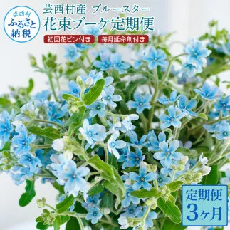t178tmf [3ヵ月定期便] ブルースター 花束 初回花瓶付 定期便 定期コース 全3回 延命剤付き ラッピング 花びん 生花 花束 ブーケ 花 お花 可愛い キレイ おしゃれ 供花 お供え ギフト プレゼント