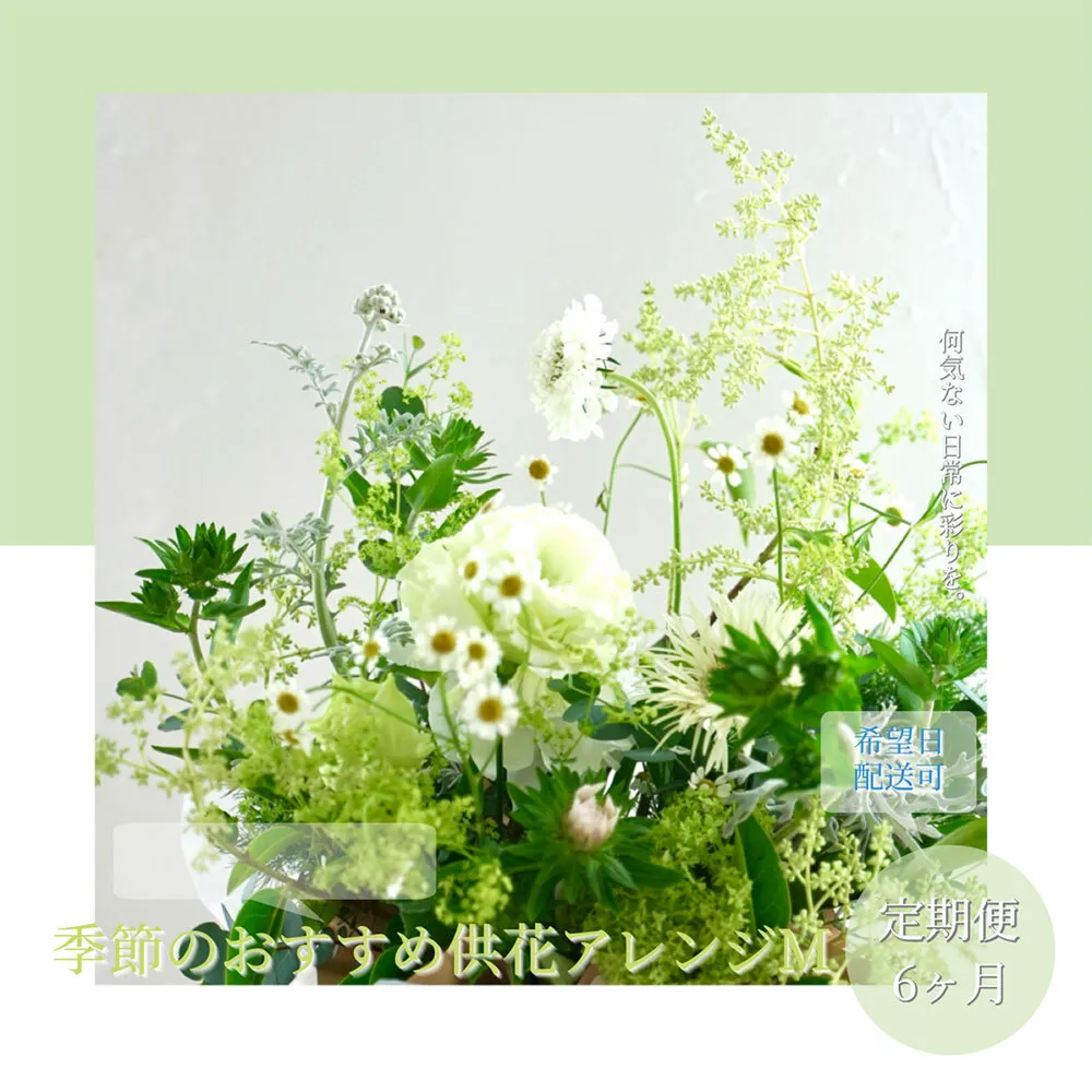 t173tmf [6ヵ月定期便]生花アレンジ お供え 供花M 定期便 定期コース 全6回 フラワーアレンジメント そのまま飾れる お供え 花束 生花 仏花 供花 花束 はな 花 法要 お盆 季節のお花 供花 お供え