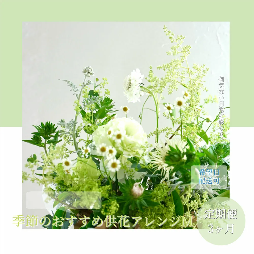 t172tmf [3ヵ月定期便]生花アレンジ お供え 供花M 定期便 定期コース 全3回 フラワーアレンジメント そのまま飾れる お供え 花束 生花 仏花 供花 花束 はな 花 法要 お盆 季節のお花 供花 お供え