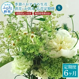 t167tmf [6ヵ月定期便]花束一束 お供え 初回花瓶付S 定期便 定期コース 全6回 初回花瓶付き 延命剤付き 花びん 生花 仏花 供花 花束 はな 花 法要 お盆 花 おすすめ 一束 季節のお花 供花 お供え