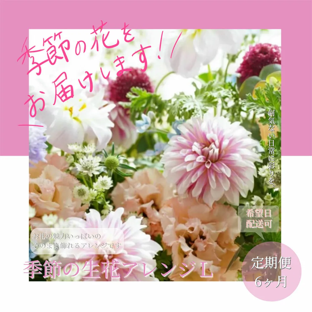 t164tmf [6ヵ月定期便]おすすめ生花アレンジメントL 定期便 定期コース 全6回 フラワーアレンジメント そのまま飾れる 生花 花束 花 お花 おすすめ 可愛い キレイ おしゃれ 季節のお花 供花 お供え