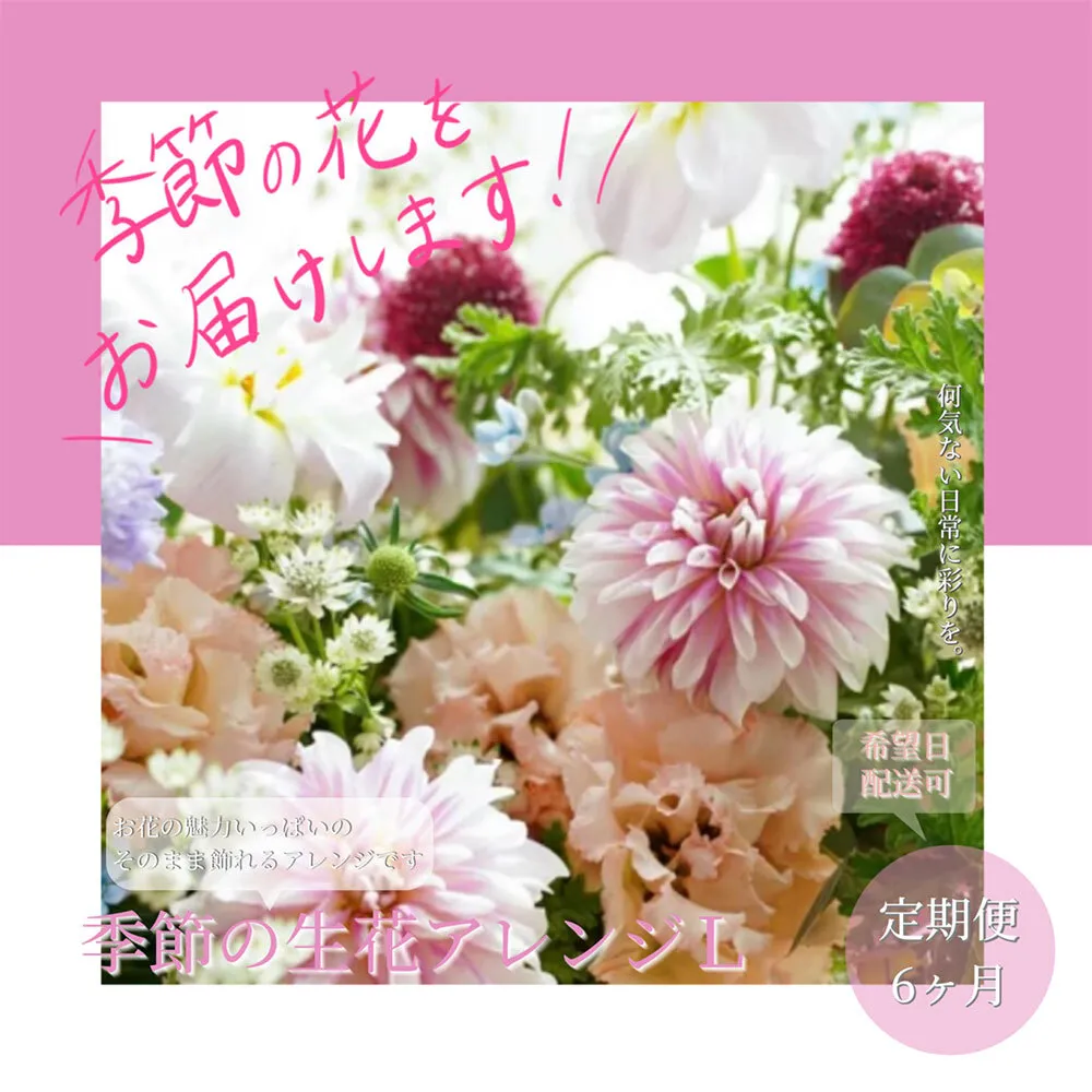 t164tmf [6ヵ月定期便]おすすめ生花アレンジメントL 定期便 定期コース 全6回 フラワーアレンジメント そのまま飾れる 生花 花束 花 お花 おすすめ 可愛い キレイ おしゃれ 季節のお花 供花 お供え