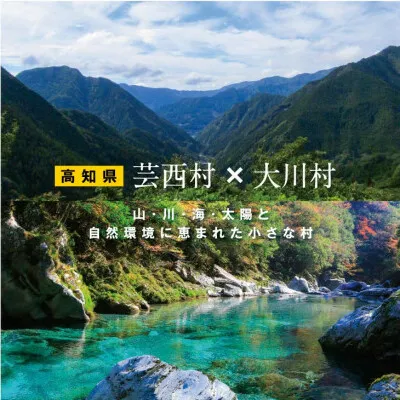 ZZ112-NT　【芸西村と大川村の共通返礼品】芸西村 海鮮丼の素セット【個別発送】＆大川村 土佐はちきん地鶏まるごと一羽セット