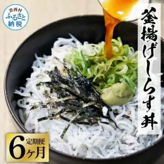 《6ヶ月定期便》高知県産釜揚げしらす×8パック 定期便 定期コース 6回 簡易梱包 小分け 国産 釜揚げ シラス丼 海鮮丼 ゆず付 お茶漬け 軍艦巻き 手巻き寿司 冷凍配送 おかず お取り寄せ