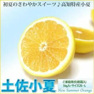 ご家庭用 土佐小夏 5kg 5キロ サイズ2S～L こなつ コナツ 柑橘 かんきつ 柑橘類 フルーツ 果物 くだもの デザート おやつ ジュース ジャム 美味しい ご自宅用