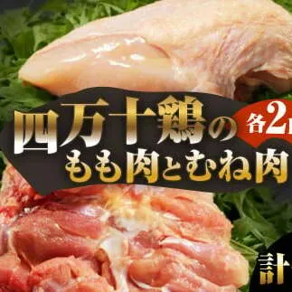 四万十鶏のもも肉とむね肉 各2kg 計4kg もも 鶏もも肉 鶏むね肉 国産 モモ肉 ムネ肉 鶏肉 焼肉 唐揚げ 食品 おいしい 惣菜 おかず お取り寄せ