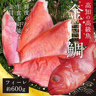 数量限定　海鮮金目鯛のフィーレ600g＜高知市共通返礼品＞