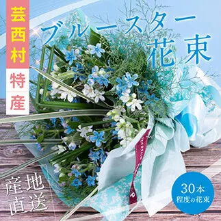 JJM002　《先行予約》芸西村特産ブルースター花束（約30本程度の花束）