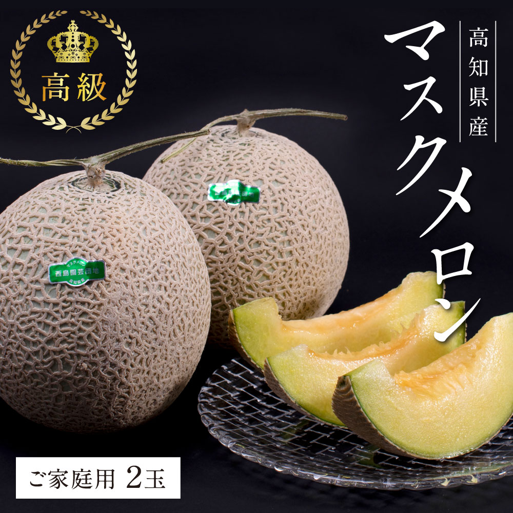 高知県産 土佐メロン ミネラル マスクメロン 特選 (2玉)(約2.6kg
