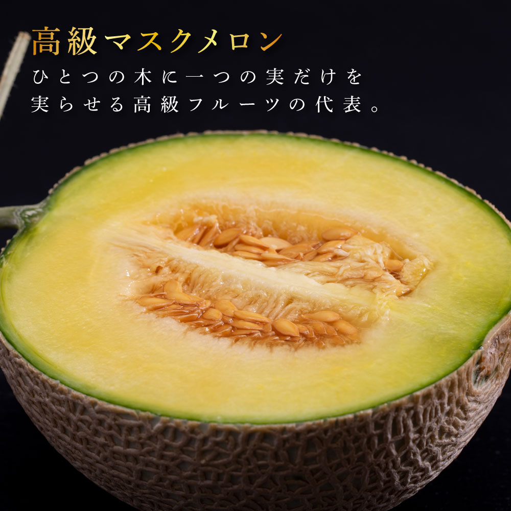SKS024 緊急支援 高知県産 高級マスクメロン（ご家庭用）2玉入