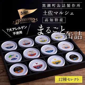 支援品 防災 ホテルおすすめ!黒潮町の缶詰セット[12種セレクト]/ホテルのマルシェで販売している、人気12種類の缶詰を詰め合わせ[7大アレルゲン不使用・完全専用ライン・衛生管理][黒潮町共通返礼品]