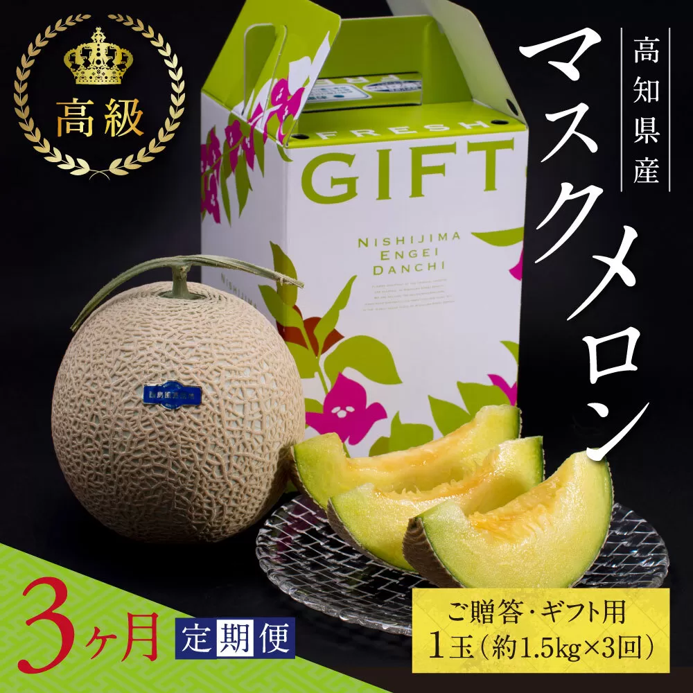 t062sks　《3ヶ月定期便》高知県産 高級マスクメロン（ご贈答・ギフト用）1玉入 【発送期間：4月〜12月（9カ月）】【1月〜3月は気候温度不安定の為出荷不可となります。】〈南国市共通返礼品〉
