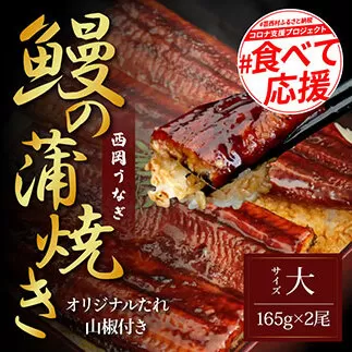 KGP025　緊急支援 人気惣菜 本気の高知ブランド鰻「西岡うなぎ」〜上（大サイズ）〜うなぎの蒲焼き2尾セット（約330g）タレ・山椒付き｜ウナギ 国産 特産品 高知県産 土佐 食べて応援 蒲焼 焼きたて 丼 うな重 ひつまぶし〈田野町共通返礼品〉