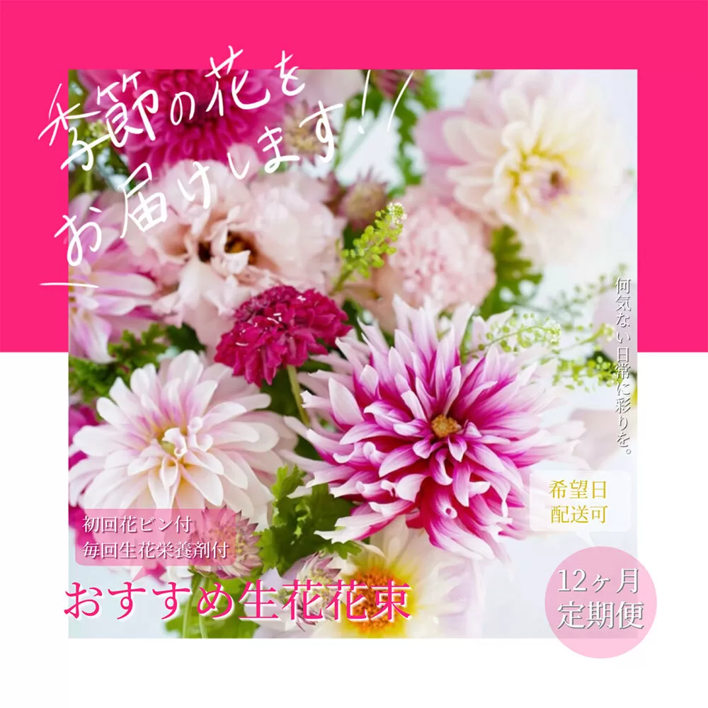 t127tmf [12ヵ月定期便 ]毎月お届け 芸西村産季節の花束 フラワーアレンジメント 季節のおすすめ ブルースター トルコキキョウ ダリヤ お花 おしゃれ プレゼント ギフト お祝い 供花 お供え[生産者直送]