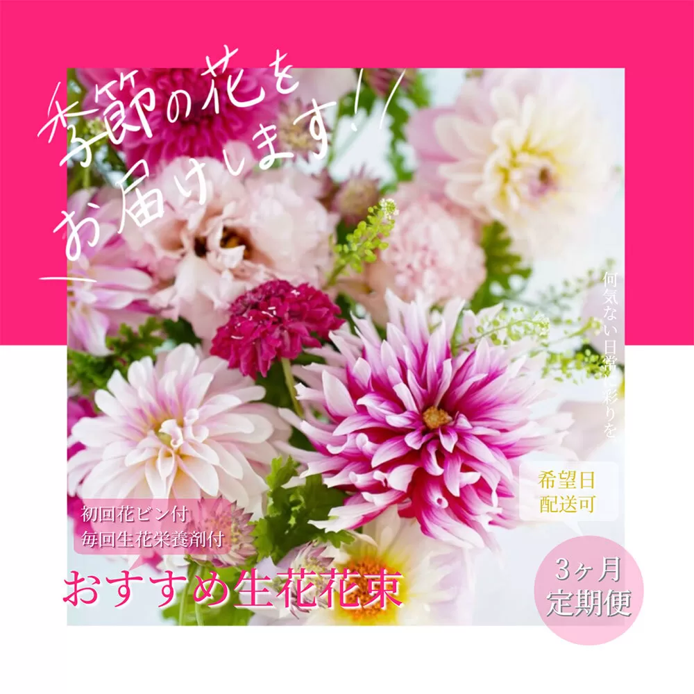 t125tmf [3ヵ月定期便 ]芸西村産季節の花束 フラワーアレンジメント 季節のおすすめ ブルースター トルコキキョウ ダリヤ お花 おしゃれ プレゼント ギフト お祝い 供花 お供え[生産者直送]