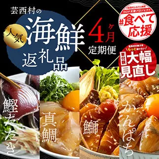 t022kyf 海鮮 芸西村4ヵ月連続定期便 人気海鮮返礼品を集めた定期便/1回目:訳ありかつおたたき1.5kg、2回目:真鯛の漬け丼、3回目:ブリ漬け丼、4回目:かんぱち漬け丼 高知 土佐 かつおたたき 訳あり 訳 お楽しみ[高知県・高知市共通返礼品]