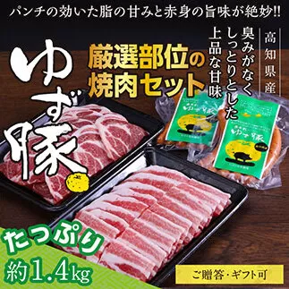 GRS006　【高知のブランド豚/ゆず豚】厳選部位の焼肉セット（約1.4kg）- 焼肉用 肩ロース500g バラ500g ソーセージ5本入り×2P BBQ やきにく 焼き肉 ソーセージ 豚肉 国産 詰め合わせ セット ギフト・熨斗対応可 贈答